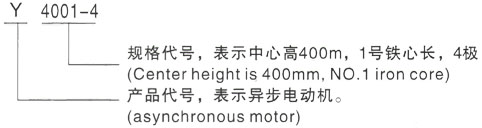 西安泰富西玛Y系列(H355-1000)高压YJTG-280S-8A/37KW三相异步电机型号说明